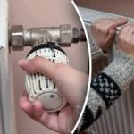 Baterijos bus karštesnės: išradinga gudrybė, kaip radiatorius paversti "krosnele" Baterijos bus karštesnės: išradinga gudrybė, kaip radiatorius paversti „krosnele”