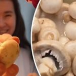 Kaip per kelias sekundes išvalyti kalną grybų - super triukas Kaip per kelias sekundes išvalyti kalną grybų – super triukas