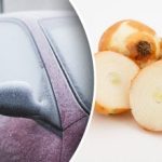 Kodėl automobilis trinamas svogūnais – patyrę vairuotojai atskleidžia paslaptį