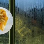 Kodėl kačių kraikas pilamas ant palangių: apie šią gudrybę žino