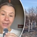 Priežastis, apie kurią mažai kas žino: kodėl rudenį balinami medžiai