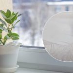 Rezultatas jus nustebins: priemonės, kuri išbalins plastikinę palangę, receptas