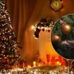 Sugadinkite savo atostogas: kur nevertėtų statyti Kalėdų eglutės